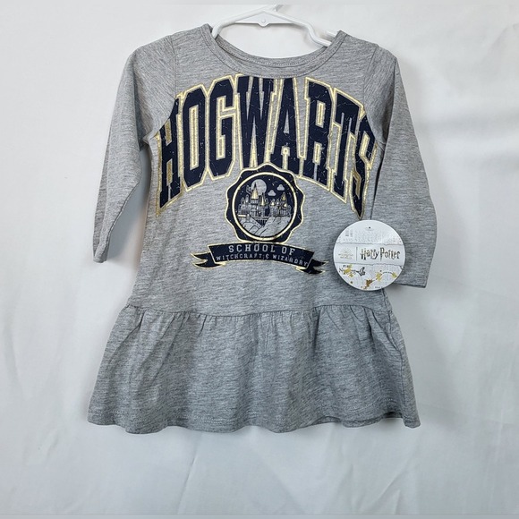 Harry Potter Girls Gray Hogwarts Long Sleeve Drop Waist Ruffle Dress 18Month New - Picture 1 of 9